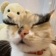 Streamer Profile Picture