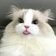 Streamer Profile Picture