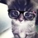 Streamer Profile Picture