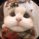 Streamer Profile Picture