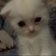 Streamer Profile Picture