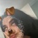 Streamer Profile Picture
