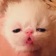 Streamer Profile Picture