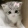 Streamer Profile Picture