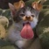 Streamer Profile Picture