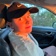 Streamer Profile Picture