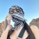 Streamer Profile Picture