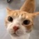 Streamer Profile Picture