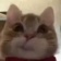 Streamer Profile Picture