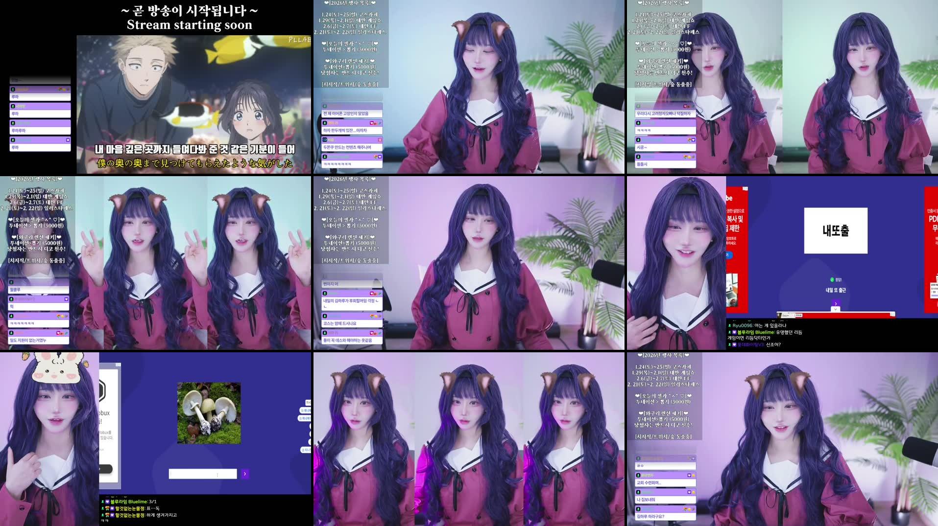 Recording Thumbnails