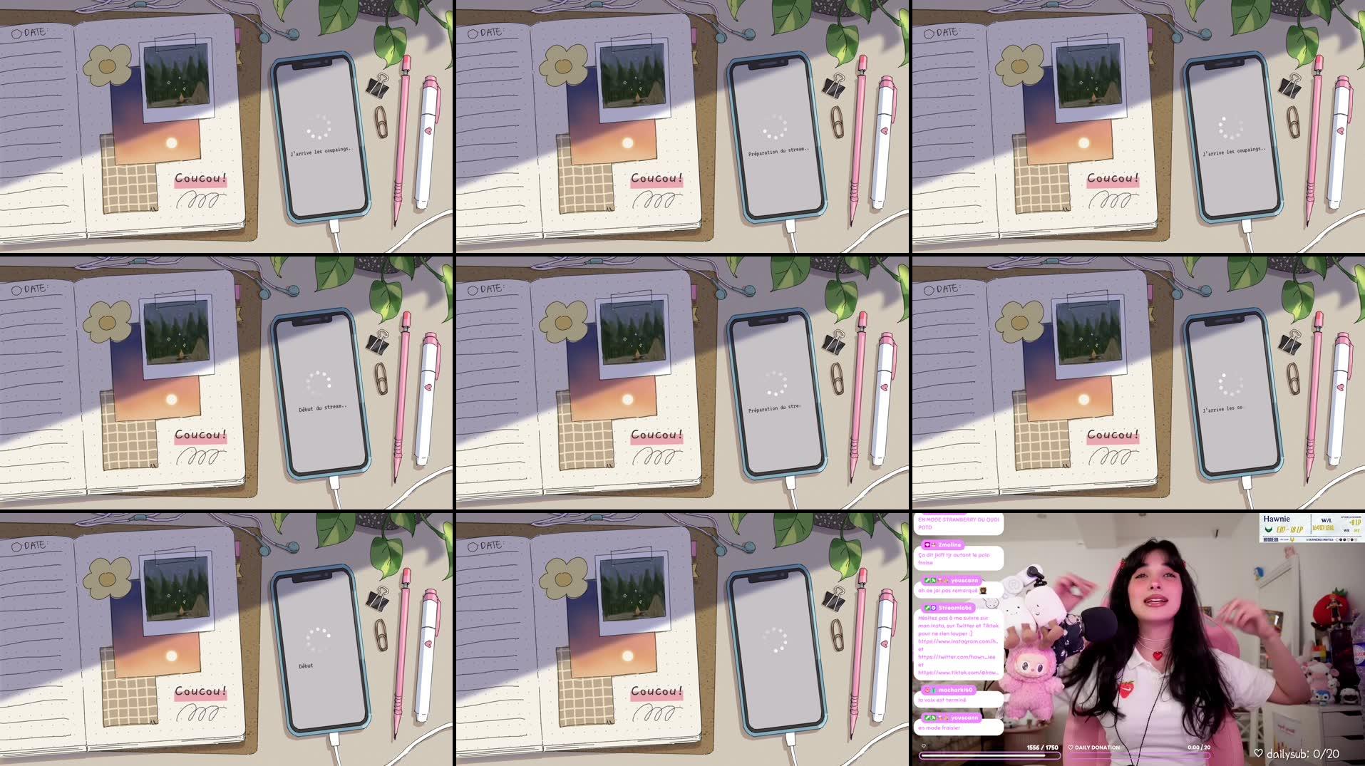 Recording Thumbnails