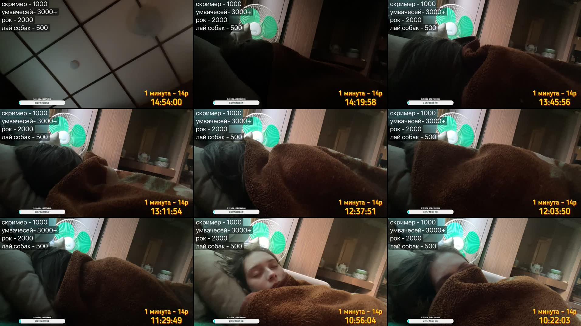 Recording Thumbnails