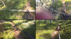 Testing www at luontopolku part 2 (might be bad??)