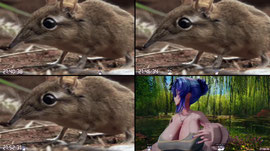 Recording Thumbnail