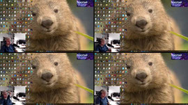 Recording Thumbnail
