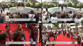 Le Live officiel du Festival de Cannes 2026