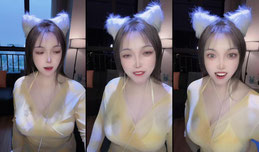 无能的妻子