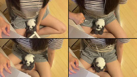 Recording Thumbnail
