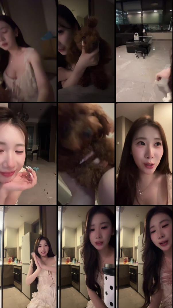 聊天💬