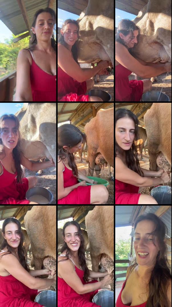 JungleMuse is live!