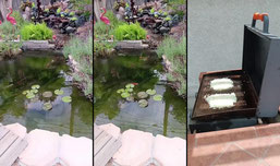 pondtent