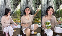五年前骑三轮车卖水果的小妹🥭