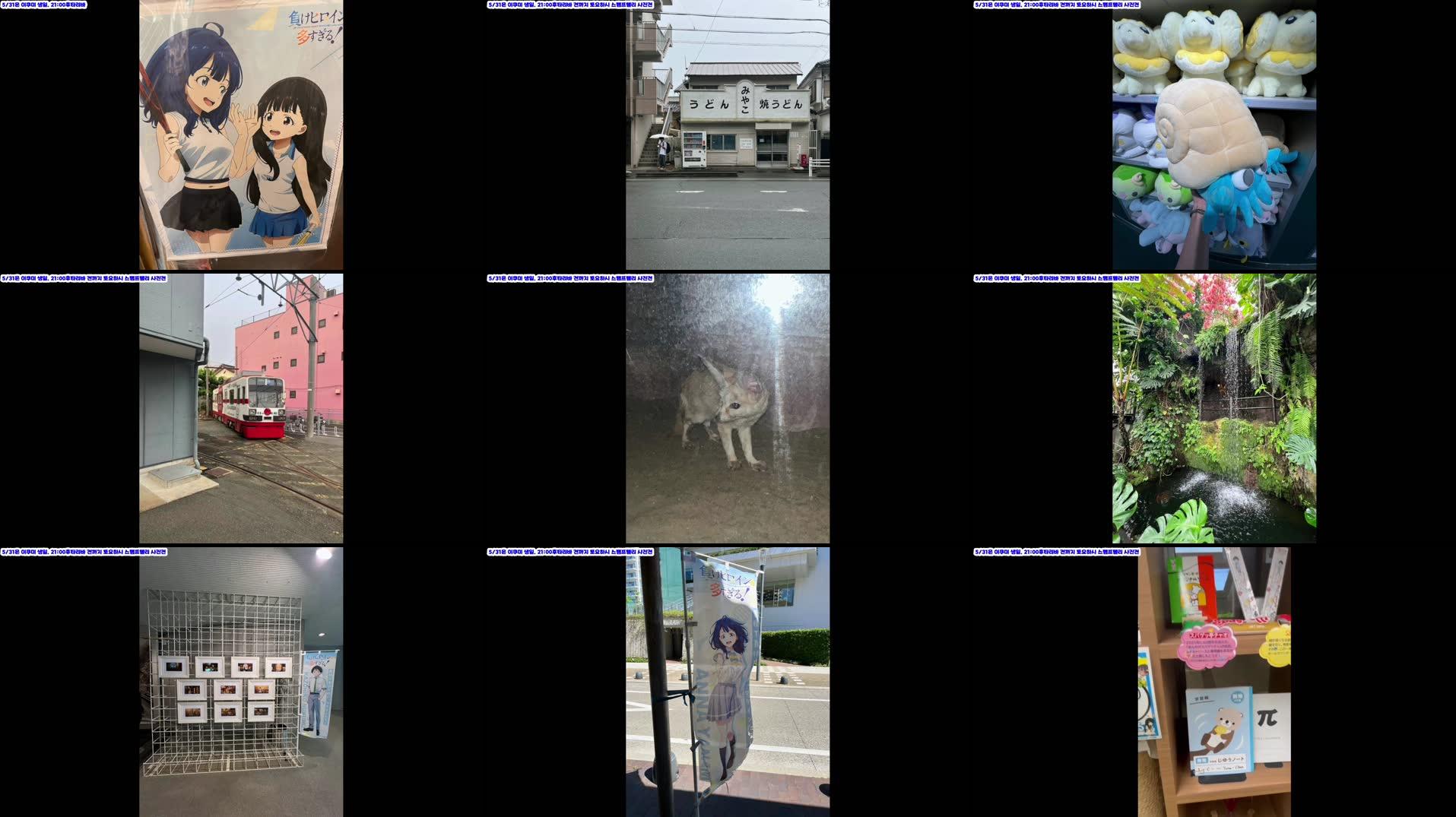Recording Thumbnails