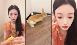 美美chiro正在直播