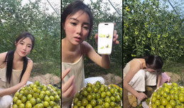 五年前骑三轮车卖水果的小妹🥭