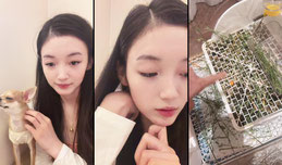 美美chiro正在直播