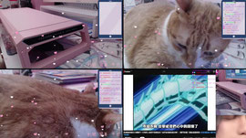 【企鵝小姐】聊玩 6/3 @misspenguin_72