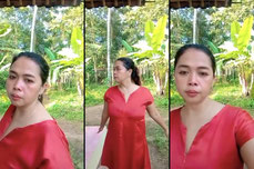 hi