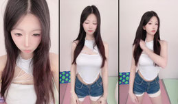 体力主播 电子宠物
