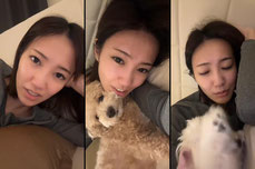 さや (7006958764243780609) TikTok VODs & Stream Recordings