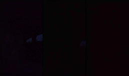 Janna Canada  is live! boys boys boys