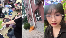 玄鸟正在直播