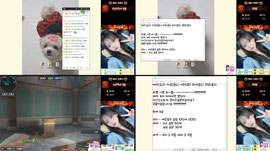<#ever_wC>🏆에버 예라💗예라랑 유키랑 파랭시참 >3< 파랭미션구해용