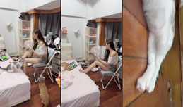 素颜陪大家看个世界杯