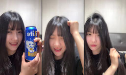 코끼리한캔