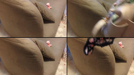 Recording Thumbnail