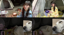 미니 농부의 일상 앞마당 야외취침;