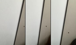 여율