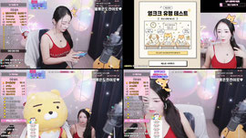 거지모임 랜덤시그룰렛 99 가즈앙 ♥  [해피월드:신입]