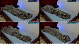 Sleep Stream Day 43 - 20/06/2026 - BRAZIL WON