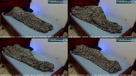 Sleep Stream Day 43 - 20/06/2026 - BRAZIL WON