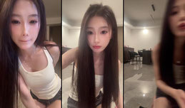 双子座不许进