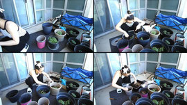 Cherry with her plants