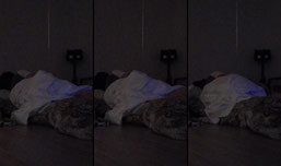 Saturday night Sunday morning sleepytime goodnight moon