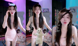 我家猫会后空翻~