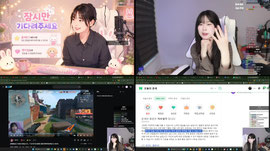 [태룡물산] 2따리 응애 키우실분